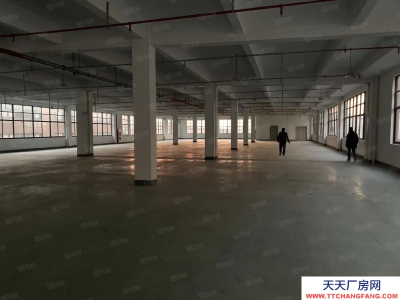 嘉興嘉善(出租) 家具廠房2000平出租，可掛靠