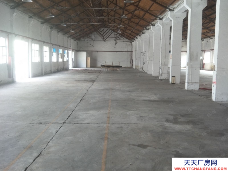 嘉興嘉善(出租) 商城附近800平標準廠房出租，大車可進，交通便利，合同長簽