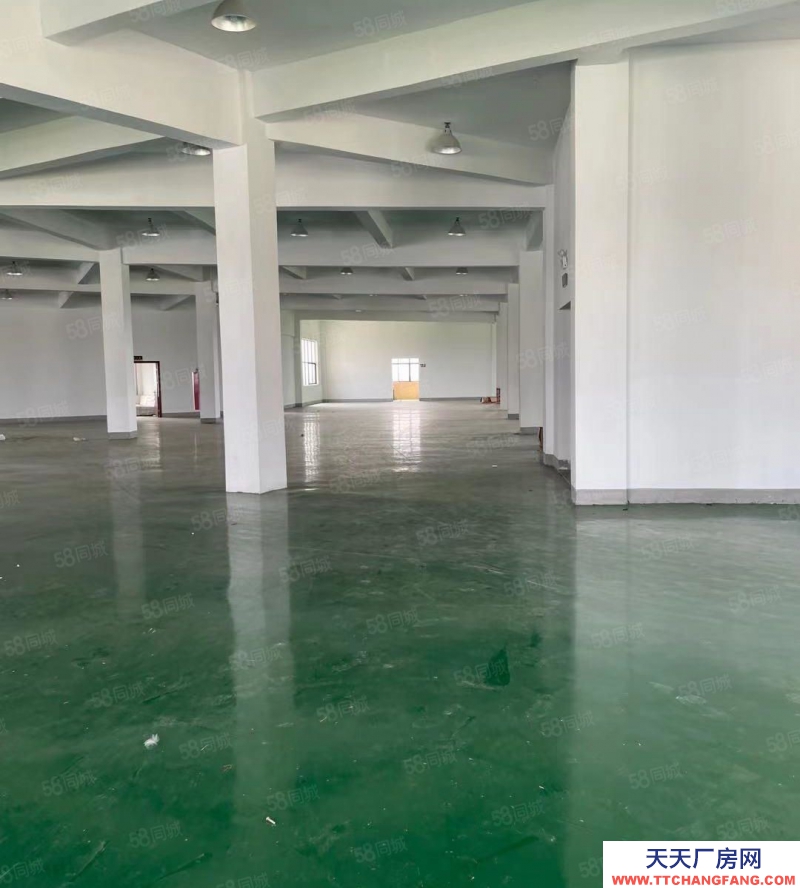 嘉興嘉善(出售) 天凝10畝獨門獨戶廠房正在出售中