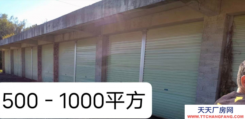 (出租) 玉林博白火車站附近廠房出租交通便利