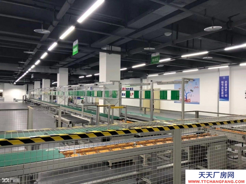 急售，獨棟、雙拼或分層高標準工業廠房。低價現房。搶到就是賺到。