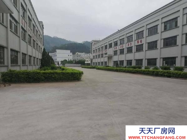 邵陽市新邵區 全新獨棟廠房出租出售