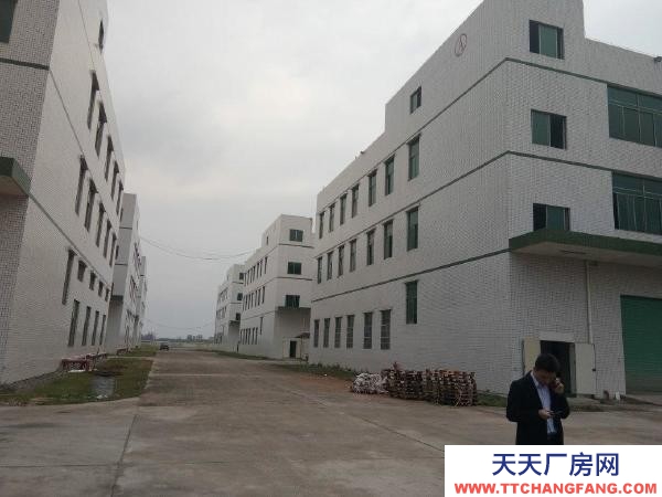 邵陽市新邵區 全新獨棟廠房出租出售