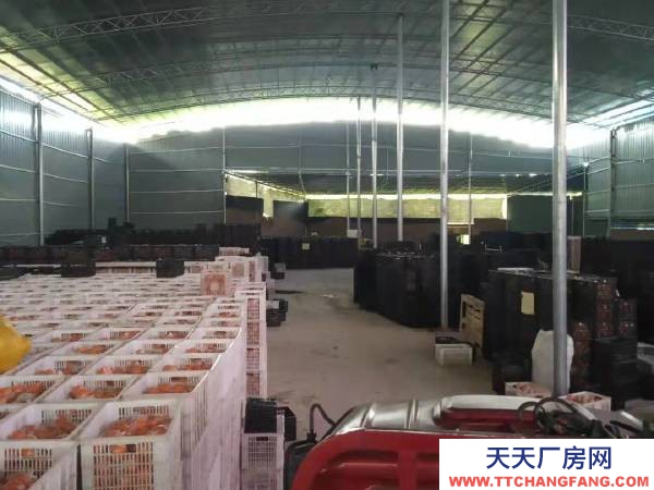 邵陽市新寧縣 新寧萬塘大型廠房出售