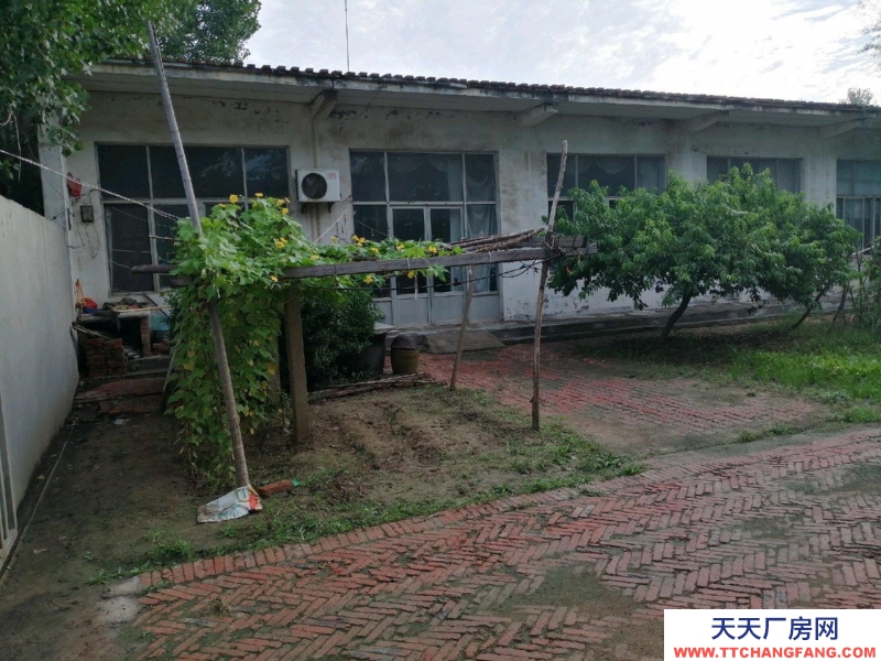 德州樂陵六畝獨院清凈，可作工廠，也可以作倉儲。