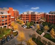 (出售) 出售獨棟研發(fā)樓，緊鄰新國展 首都機(jī)場 政策補(bǔ)貼 價格面議