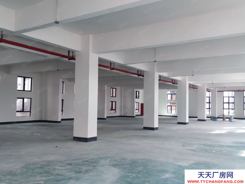 (出租) 廣東佛山業主直租時尚產業園500平方,交通便利,出貨方便,園區管理