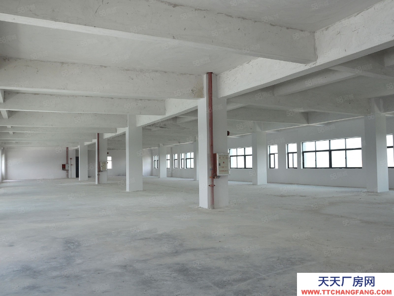 (出租) 廣東佛山1萬平高臺倉，雙邊出貨，有裝卸升降平臺雨棚3噸貨梯