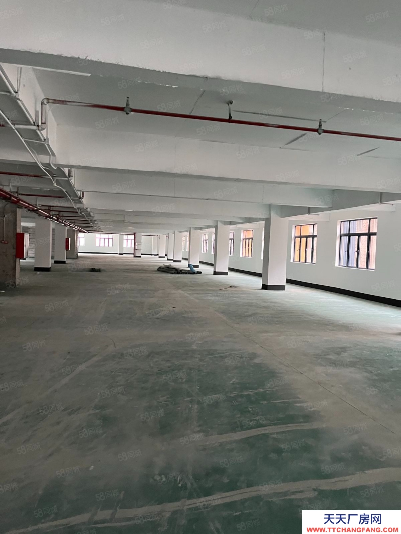 (出租) 廣東佛山業主直租,1500平方,滿足企業辦公,生產,倉儲所需