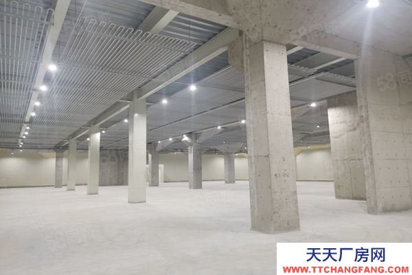 (出租) 廣東佛山獅山羅村 冷庫凍庫 招租面積不限可倉庫全托管服務業主直租