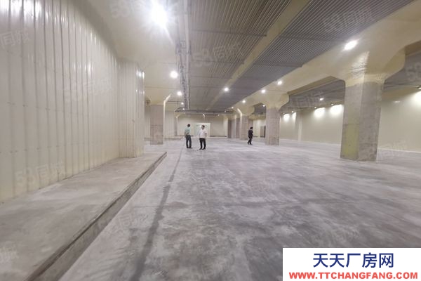 (出租) 廣東佛山獅山羅村 冷庫凍庫 招租面積不限可倉庫全托管服務業主直租