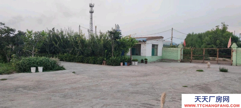 (出租) 整租，果園，超大場地，價格適合水電齊全