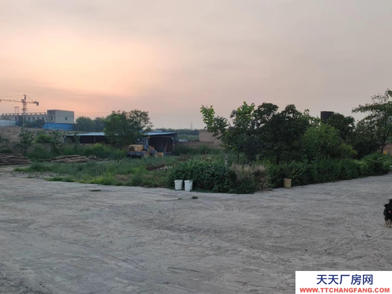 (出租) 整租，果園，超大場地，價格適合水電齊全