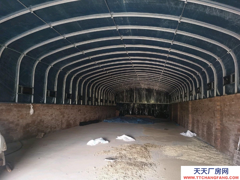 (出租) 本場地建有大棚，可做養殖，可做有機蔬菜種植，可做廠房