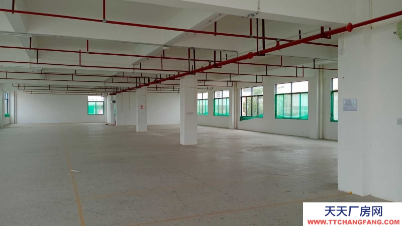 (出租) 玉林容縣開發區大型標準廠房