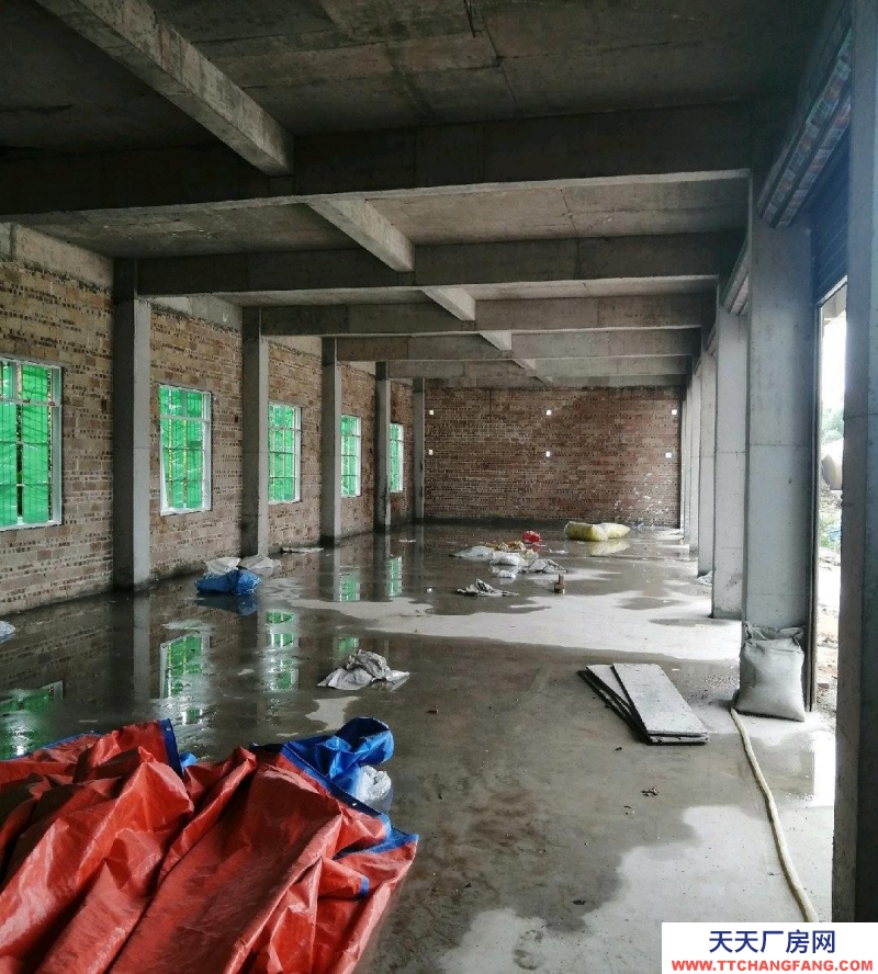 (出租) 玉林陸川房子新建毛胚房，門窗裝好，適合各類加工廠和商鋪及倉庫。