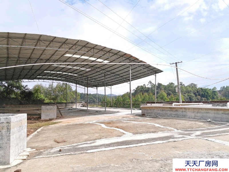 (出租) 玉林興業倉庫,廠房,農家樂,中藥加工廠。