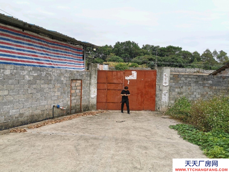 (出租) 玉林興業倉庫，廠房，農家樂，中藥加工廠。