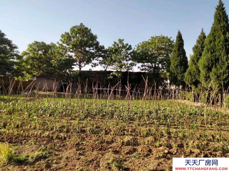 邯鄲 永年縣 出租閑置場地，面積8500平，另有部分廠房，分租也行