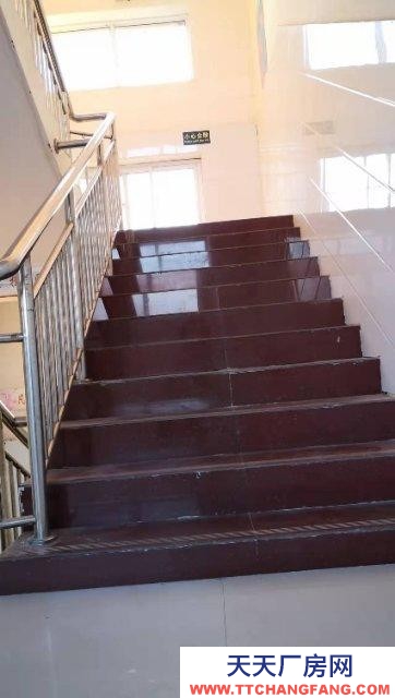 邯鄲 邱縣 出租/出售大面積廠房,宿舍樓