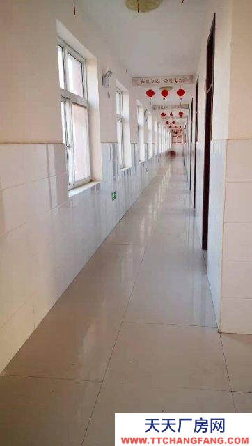 邯鄲 邱縣 出租/出售大面積廠房,宿舍樓