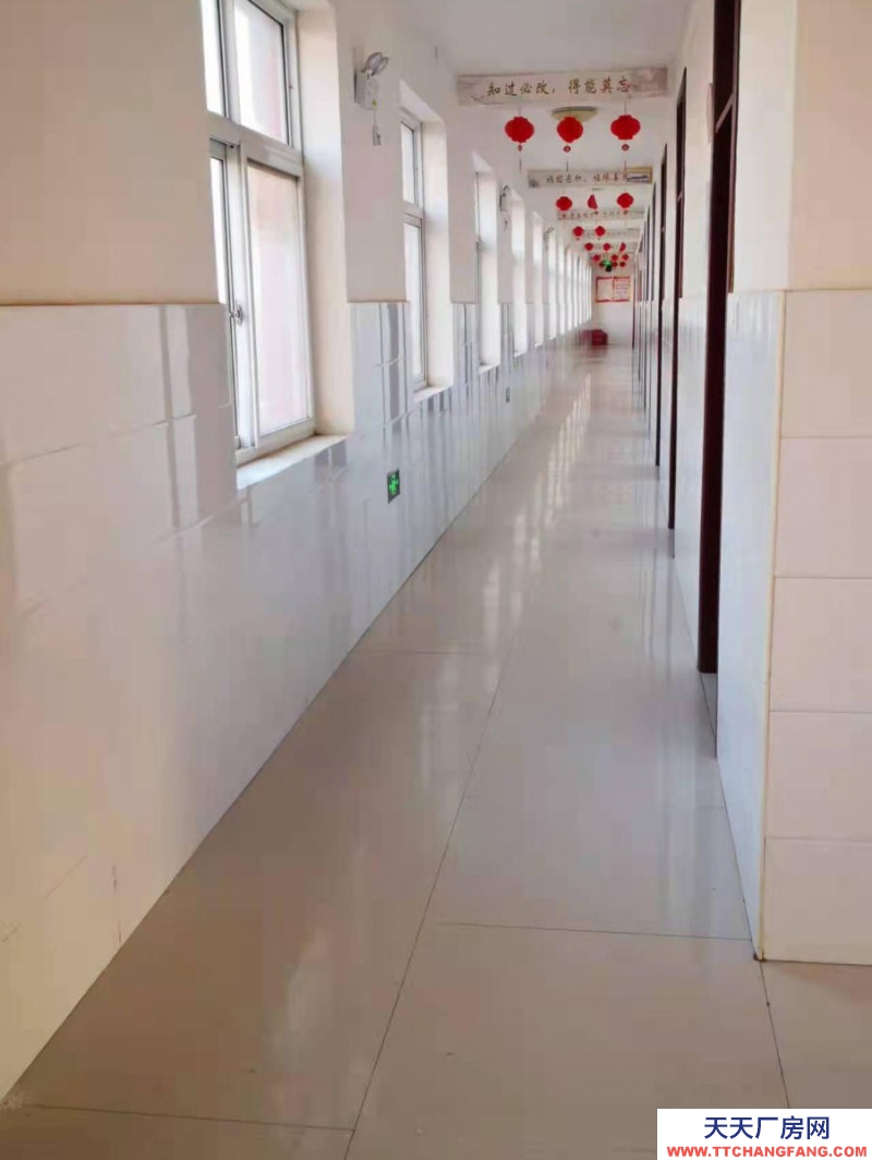 邯鄲 邱縣 老板移民，低價出售廠房、三層辦公樓