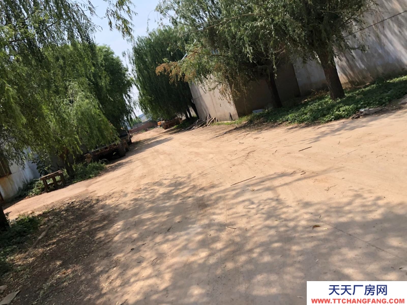 邯鄲 廣平縣 超低價出租邯鄲廣平15000平米廠房,交通便捷,生產加工方便