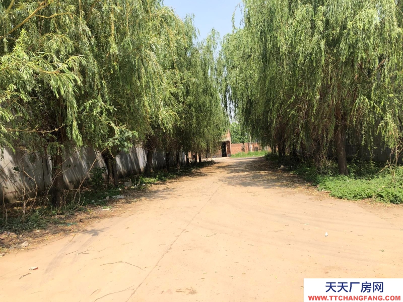 邯鄲 廣平縣 超低價出租邯鄲廣平15000平米廠房,交通便捷,生產加工方便