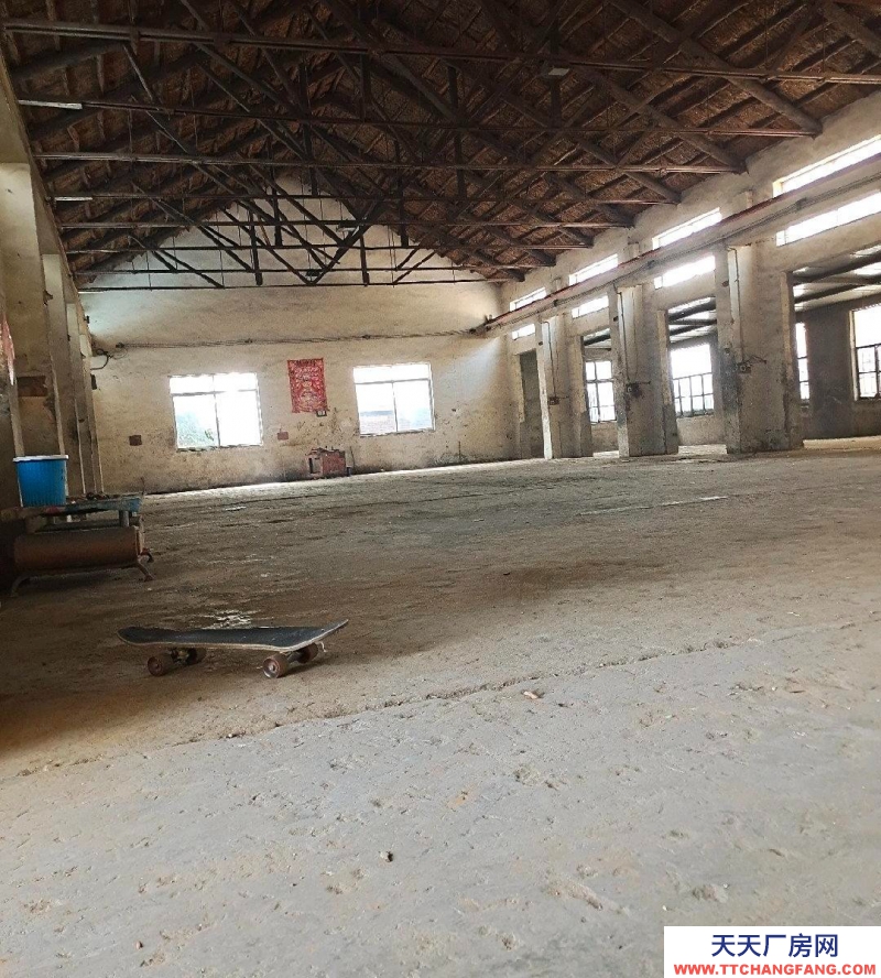 日照東港標準廠房，可做倉庫，有起重機