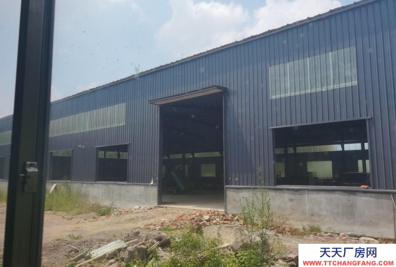 日照五蓮獨門獨院 兩千平車間 北面是許孟工業園