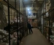 (出租) 北京冷庫出租 手續齊全 獨立空間