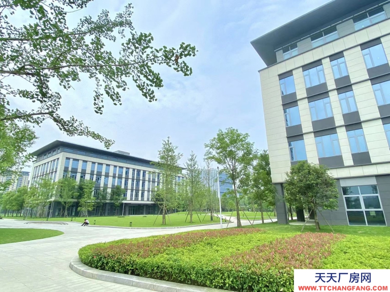 租售天府新區高端產業園，政策優惠