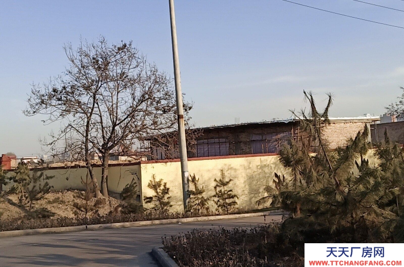 (出售) 國道邊帶廠房,帶租約,成本價出售