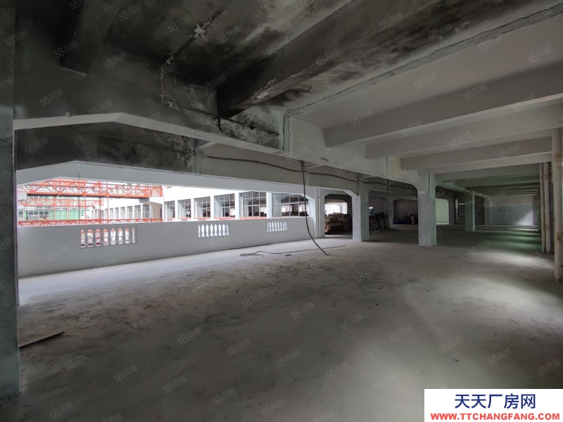 (出租) 佛山低價(jià)2000廠房出租！平洲工業(yè)園倉庫出租近廣州南站廣珠西線