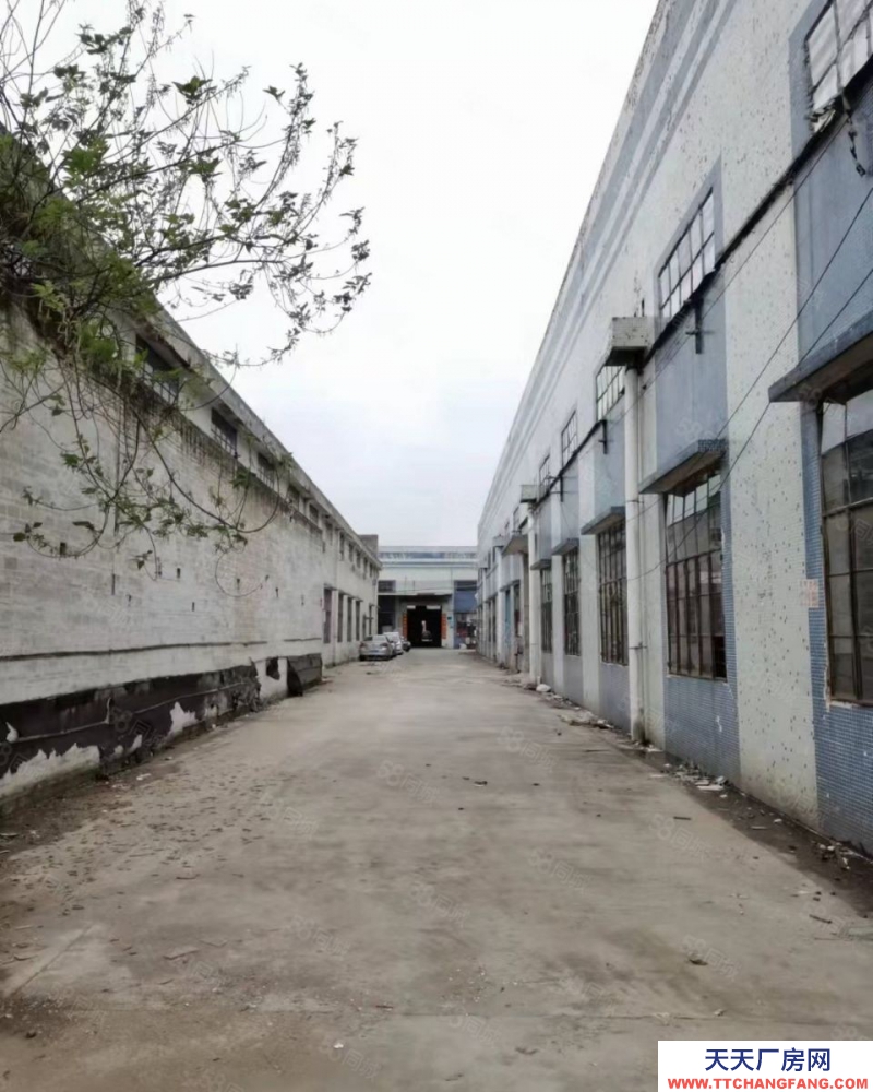 (出租) 佛山順德多倉可分租 順德龍江帶牛腿獨院1220方辦宿按需近高速好招工