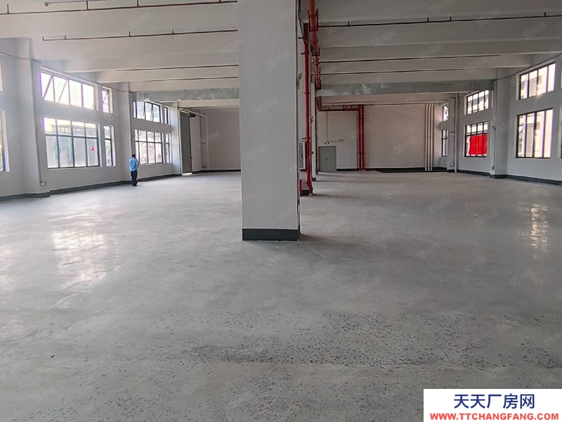 (出租) 佛山順德容桂高薪園區標準廠房出租，可辦環評，可分租，交通便利！