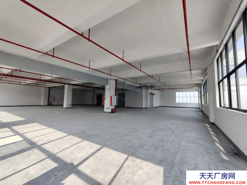 (出租) 佛山陳村新出標準樓層廠房出租丙二類消防帶噴淋空地大高臺卸貨好進車