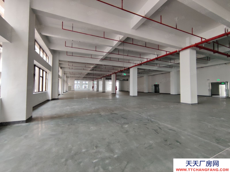 (出租) 佛山陳村新出標準樓層廠房出租丙二類消防帶噴淋空地大高臺卸貨好進車