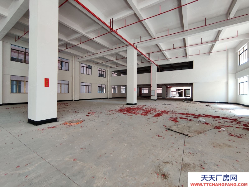 (出租) 佛山陳村新出標準樓層廠房出租丙二類消防帶噴淋空地大高臺卸貨好進車