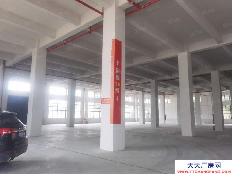 (出租) 佛山三水樂平，有全新獨門獨院廠房38000平米出租，可以分租