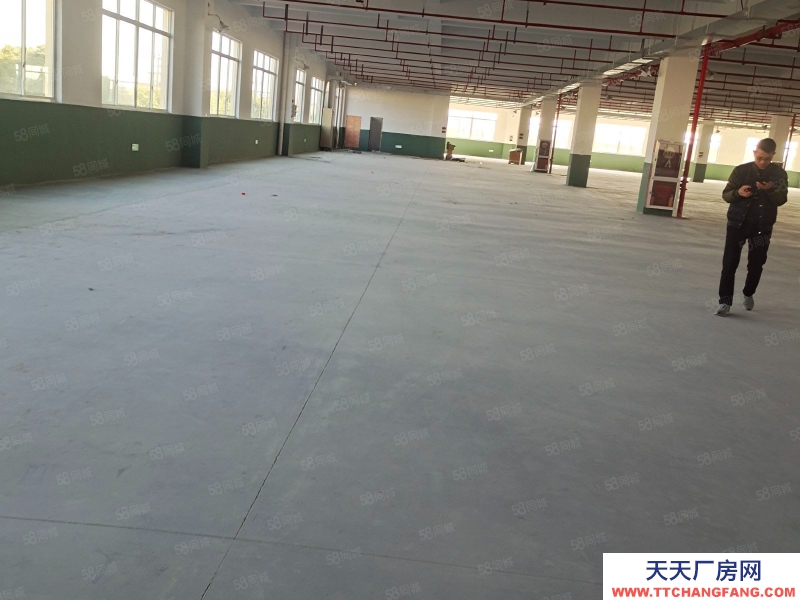 嘉興海寧(出租) 周王廟底樓4100平可分租