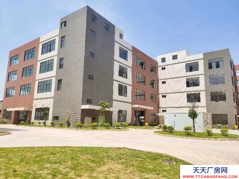 (出租) 佛山三水白泥新出全新獨門獨院標準樓房，帶消防噴淋紅本市政排污