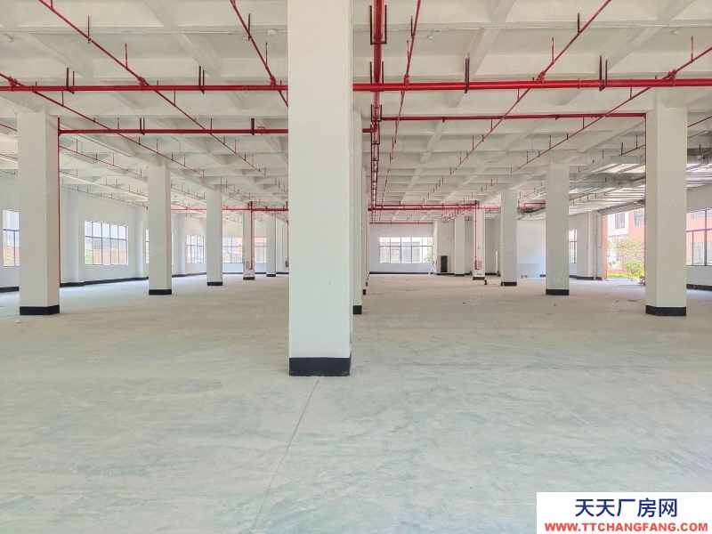 (出租) 佛山三水白泥新出全新獨門獨院標準樓房，帶消防噴淋紅本市政排污