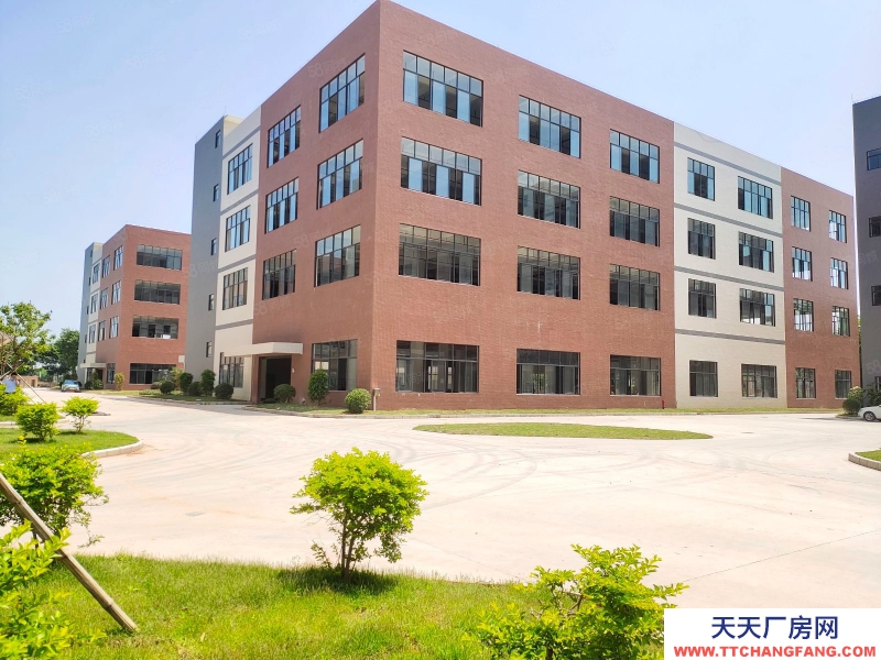 (出租) 佛山三水白泥新出全新獨門獨院標準樓房，帶消防噴淋紅本市政排污