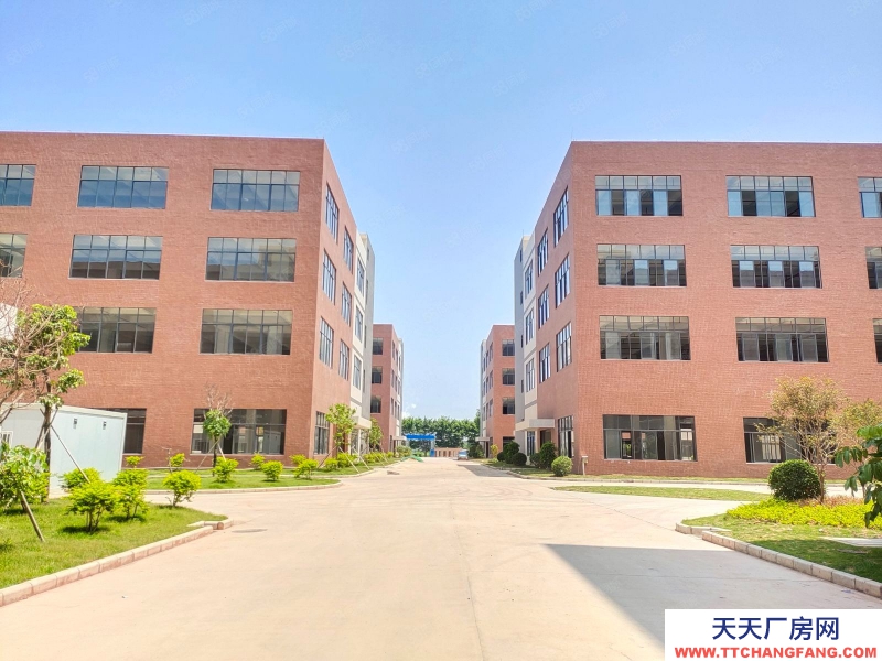 (出租) 佛山三水白泥新出全新獨門獨院標準樓房，帶消防噴淋紅本市政排污