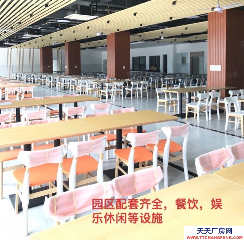 (出租) 佛山高明富灣工業區滴水11米全新廠房招租3萬方帶紅本