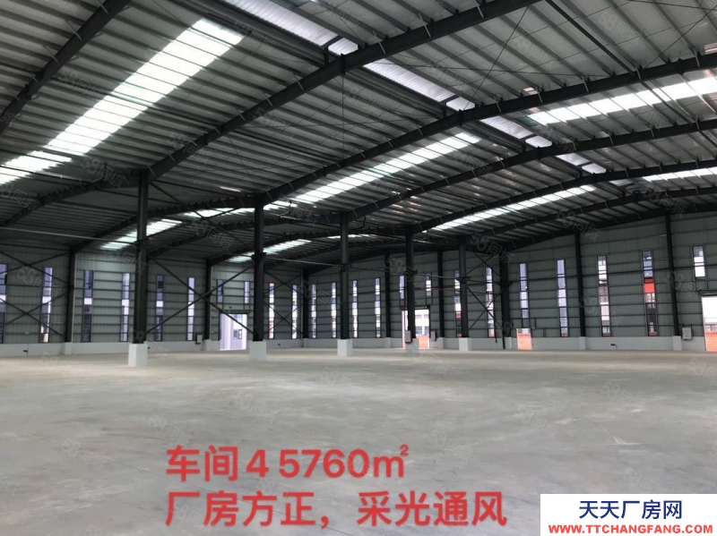 (出租) 佛山高明富灣工業區滴水11米全新廠房招租3萬方帶紅本