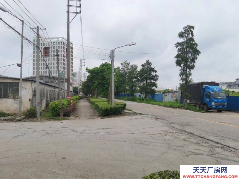 (出租) 佛山高明區(qū)小面積帶牛腿單一層可分租做五金家具機(jī)械門窗物流電子鋁材