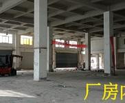 (出租) [出租]高新區獅子嶺一樓標準廠房（帶免費庭院）/業主直租