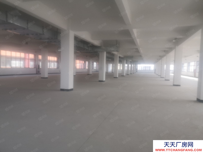 嘉興海寧(出售) 出售海寧長安東西大道旁，10畝土地7700方標準廠房